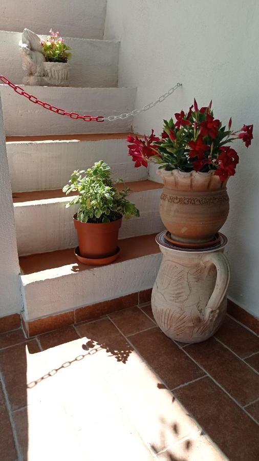 סן ניקולה ארצ'לה B&B Vannefora מראה חיצוני תמונה